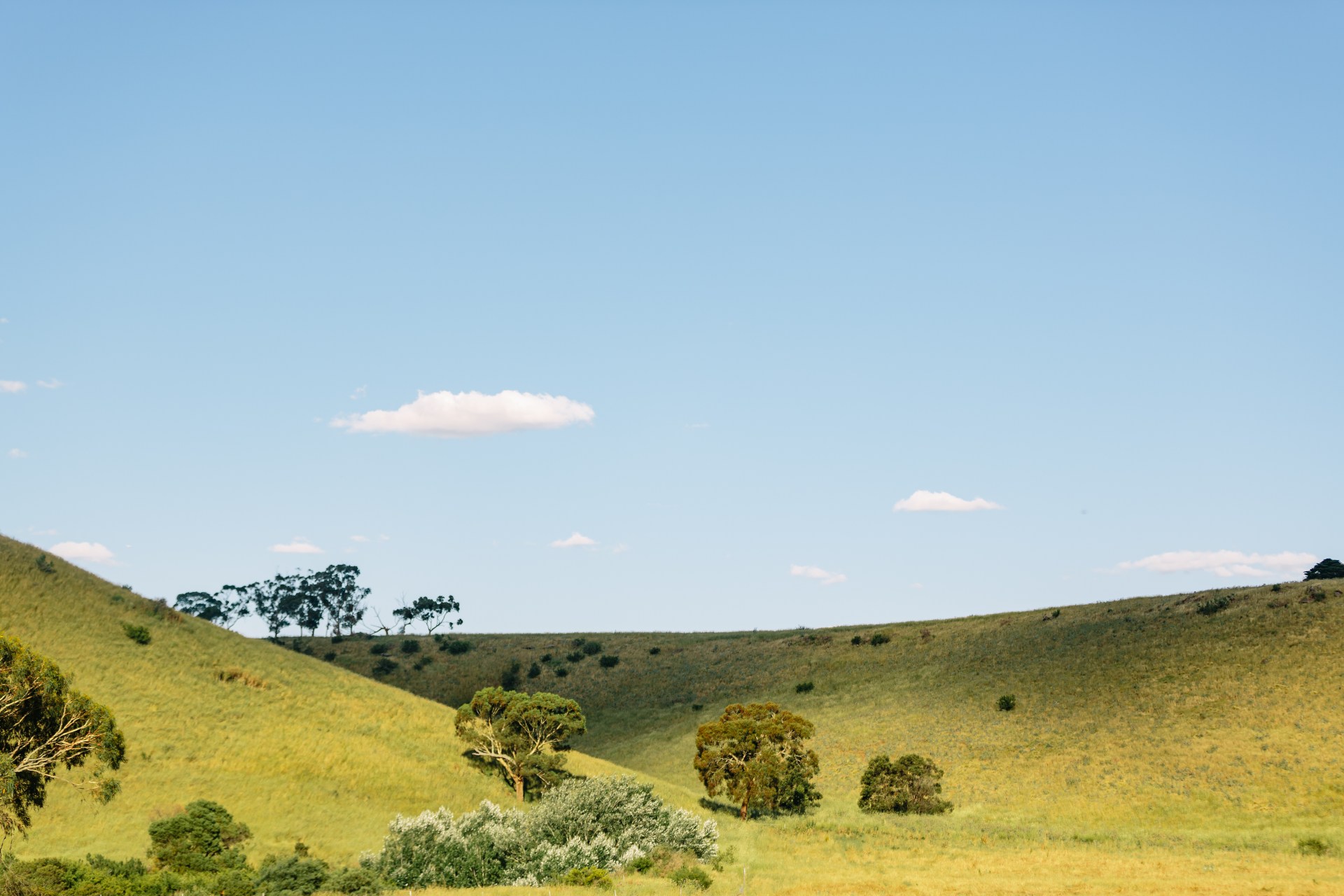 [Land for Sale] Kimberley Estate, Sunbury OpenLot